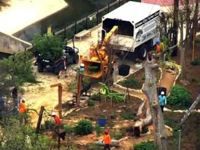 Child in critical condition after falling branch injures seven at Texas zoo