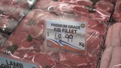 Cattle prices record big drop but consumers unlikely to see cheaper steaks