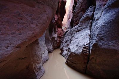 Two hikers found dead after flash flood in Utah canyon