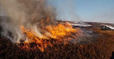 Perth-based gamekeeping body chief warns “blanket restrictions” on muirburn could threaten public safety