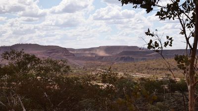 BHP mines identified as 'dominant source' of dust in Newman, says government review