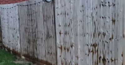 Woman says her neighbour caused 'criminal damage' to her property with terrible paint job