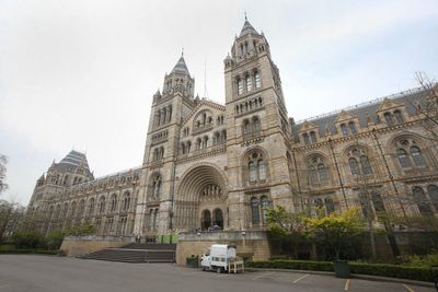 Natural History Museum named most visited indoor UK attraction again