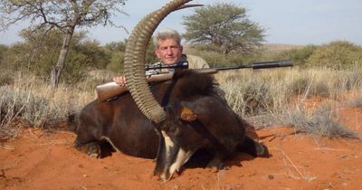 Top transplant surgeon named as trophy hunter accused of killing DOZENS of animals