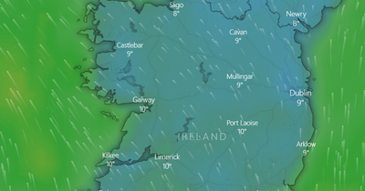 Dublin weather: Bleak forecast for St Patrick's Day as washout predicted