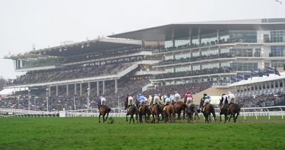 Cheltenham Festival day 4 tips: David Mullins' selections for the final day