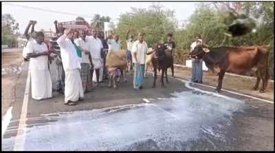 Tamil Nadu: Dairy farmers spill milk on road in Erode; demand increase in procurement prices