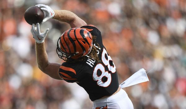 NFL Network's Ian Rapoport: 'Cincinnati Bengals tight end Hayden