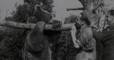 The Scottish memorials to a 'soldier bear' from World War II that 'retired' to Edinburgh Zoo