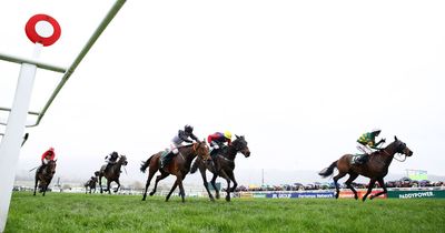 Expert warns Cheltenham crowd of 'pleasure drug' that can lead to cheating