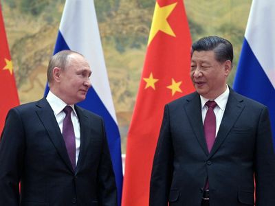 China's leader Xi Jinping will meet with Russia's Vladimir Putin in Moscow next week