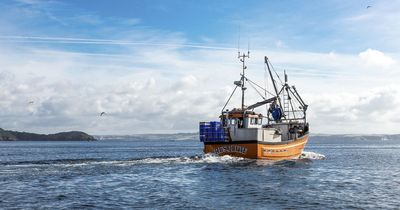 Cornwall fishing firm nets funds to create jobs and upgrade fleet