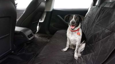 Tesla Dog Mode Doesn't Work With Low Battery, But There's A Workaround