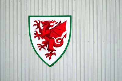 FAW says it takes disciplinary matters seriously in wake of investigation