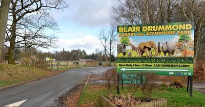 Blair Drummond Safari Park aims to build 'train track' to improve access