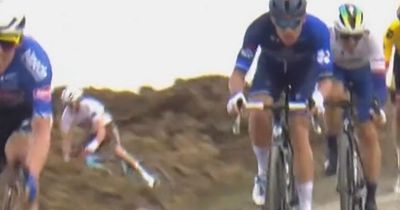 Commentator laughs on air as unlucky cyclist crashes into "mountain of manure"