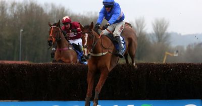 Horse Power: Secret Reprieve can win the Midlands Grand National at Uttoxeter