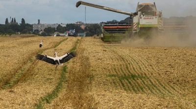 Russia Will Extend Ukraine Grain Deal for 60 Days — Not 120
