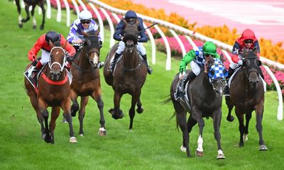 Horse euthanised and jockey taken to hospital after fall at Melbourne racecourse
