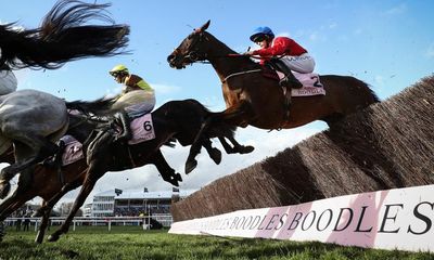 Cheltenham anoints new greats but thin crowds hint at need for shake-up