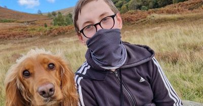 'Please don't stroke my son's dog - it could end up killing him'