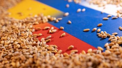 Russia Extends Grain Deal for 60 Days
