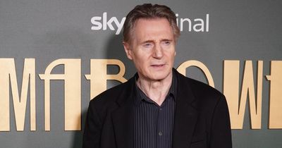 Liam Neeson tells Northern Ireland politicians to ‘get back to work’