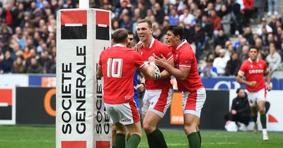 Wales finally offer World Cup hope despite defeat to France