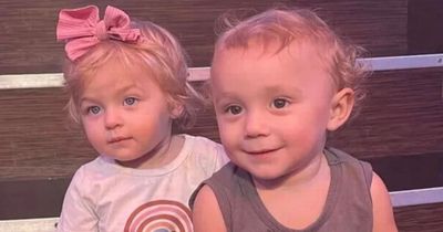 Toddler twins drown in family pool 'after great-gran with Alzheimer's leaves door open'