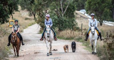 'We want to coexist': Horse riders urge cyclists to show etiquette on shared trails