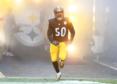Dolphins to sign LB Malik Reed