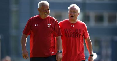 Wales coach to leave in hammer World Cup blow