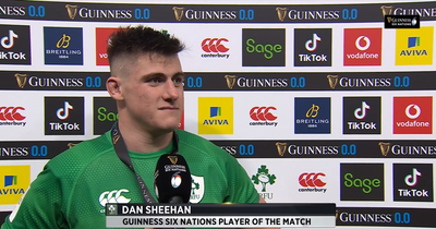 Try hero Dan Sheehan lost for words after historic home Grand Slam success