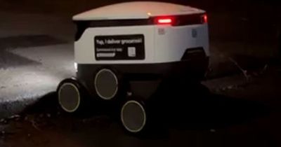 Moment lost 'shopping robot' gets stuck on a kerb during delivery