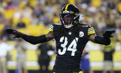 Former Steelers LB Vince Williams says Terrell Edmunds should be dime LB