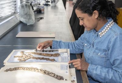 Artist aims to grow awareness of empire’s impact in major exhibition