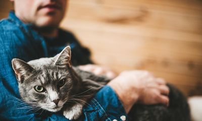 Dogs and cats could be passing on drug-resistant bugs to owners, study finds