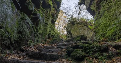 Inside the UK’s viral 'Jurassic Park' an hour from Greater Manchester