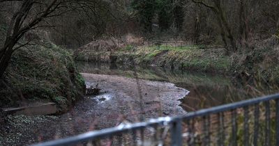 There are 43 acres of woodland by the ring road - why isn't this a city centre park?