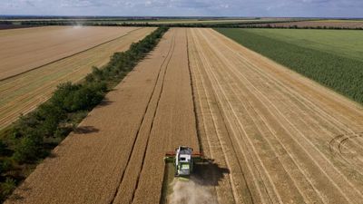 France eyes agricultural independence as war hits Ukrainian grain supply