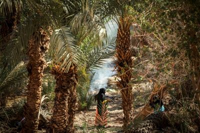 In search of Jewish heritage in Morocco's southern oases