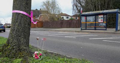 Girl, 15, dies after being hit by bus as police appeal for witnesses following tragedy