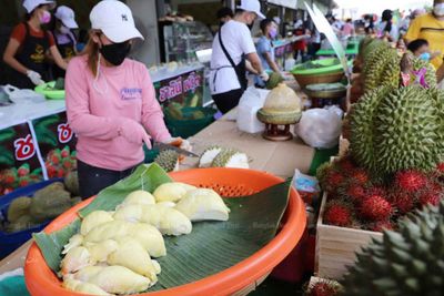 Chinese durian seen as no threat to Thai exports