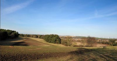 Community café set to open up at Sunderland eco-park that was once a golf course