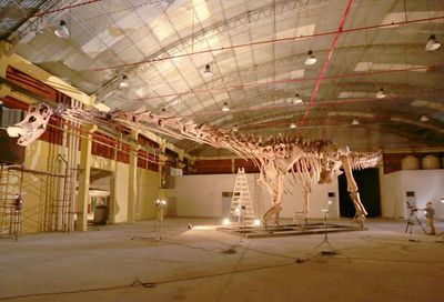 Rawr up, rawr up! World’s biggest ever dinosaur is coming to the UK