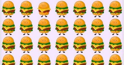 Baffling brainteaser challenges you to spot odd cheeseburger in nine seconds