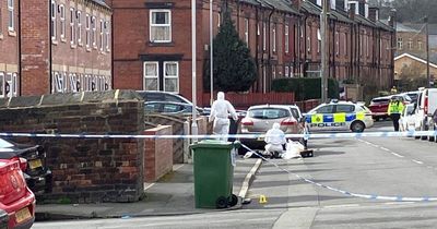Boy, 17, stabbed to death at house party as police launch murder investigation