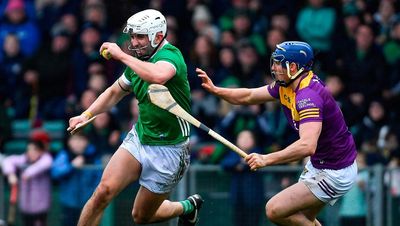 Aaron Gillane scores goal on Limerick return in 11-point win over tame Wexford
