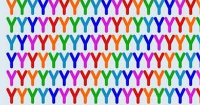Only people with high IQ can spot odd letter within 21 seconds in tricky brain teaser