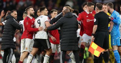 Aleksandar Mitrovic goes crazy as Fulham have THREE men sent off in 60 seconds vs Man Utd